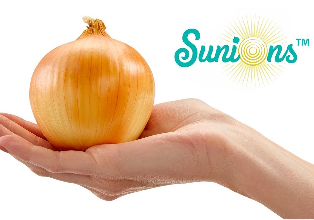 ¡Una cebolla que no hace llorar!