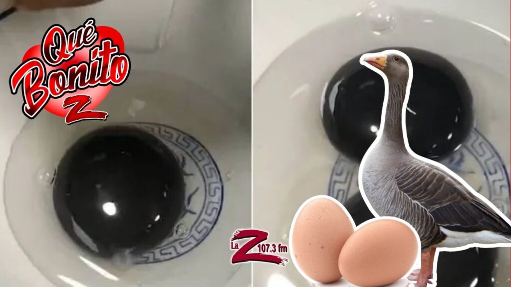 ¿Ganso que pone huevos de yema negra?