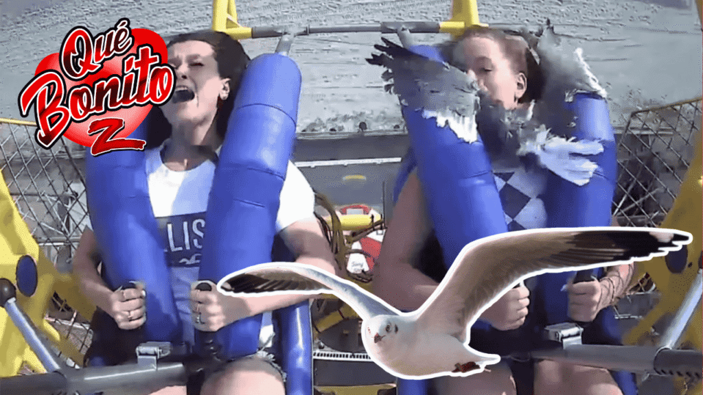 Fue golpeada por una gaviota en una montaña rusa a 120 kmh