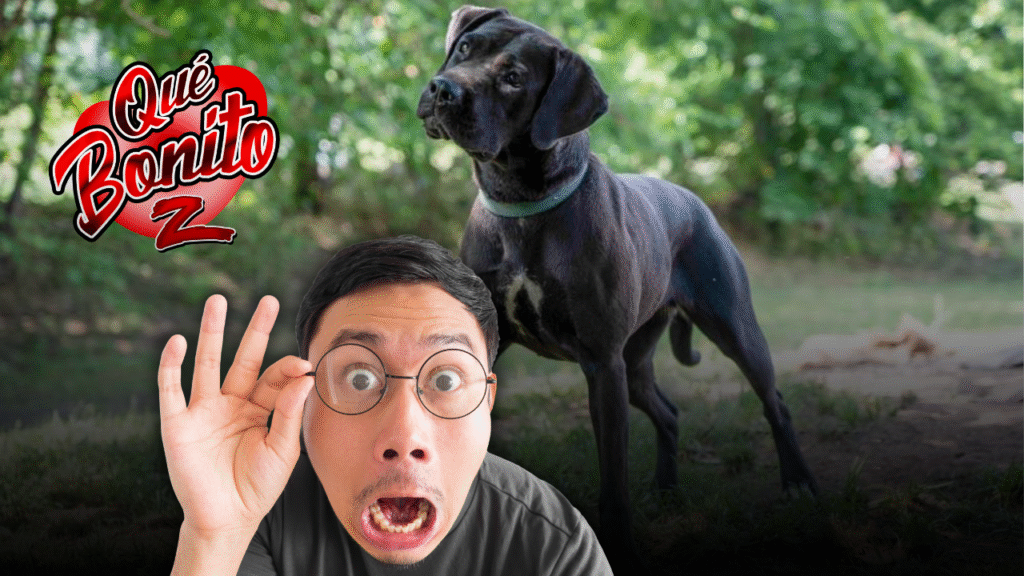 Adam, el perrito que es alérgico a los humanos