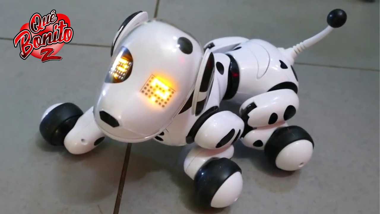 ¡No lo vas a creer! En Japón, los funerales para robots son la última tendencia