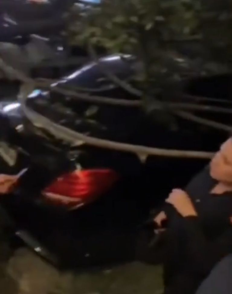 Arturo Carmona escapa de milagro al caerle árbol a su auto