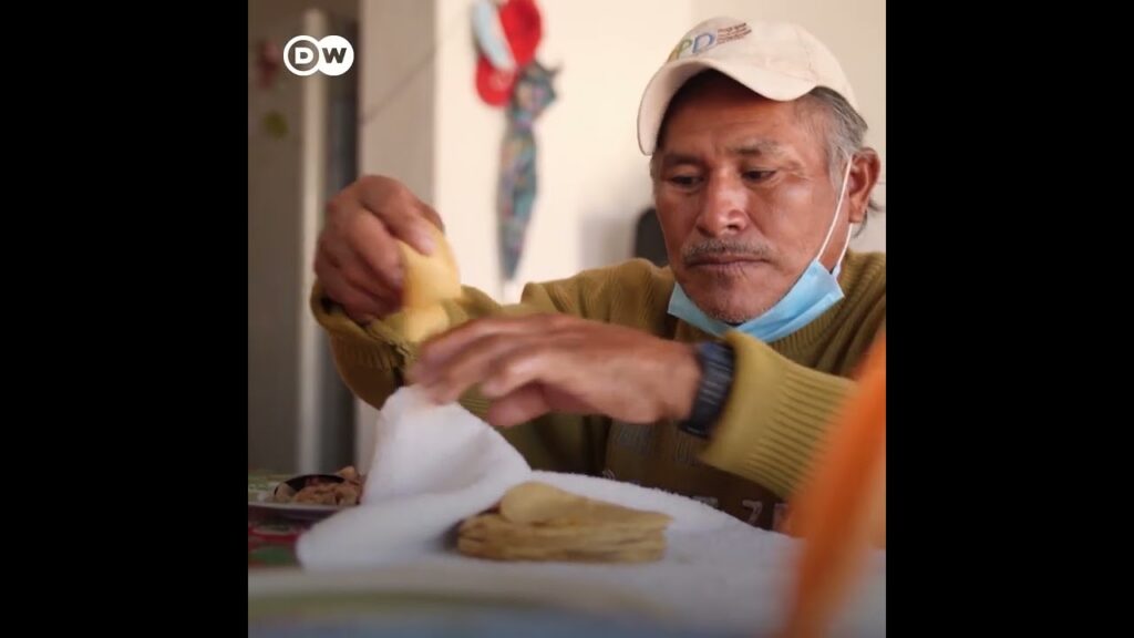 México: pulpos criados en cautiverio ¿Comerlos o salvarlos?