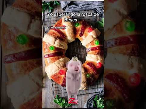 ¡Ya estamos listooooos! 🐽