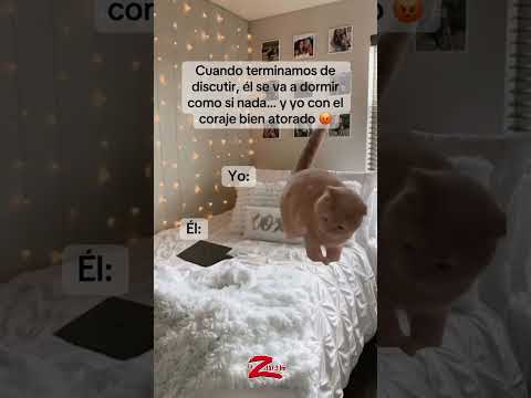 Así de tranquilo!!!