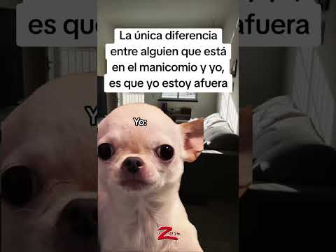 Y sin camisa de fuerza 😂