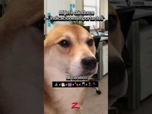 ¡No puedo evitarlo! 🎄🎅