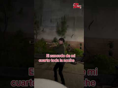 ¡Qué molesto! 🦟