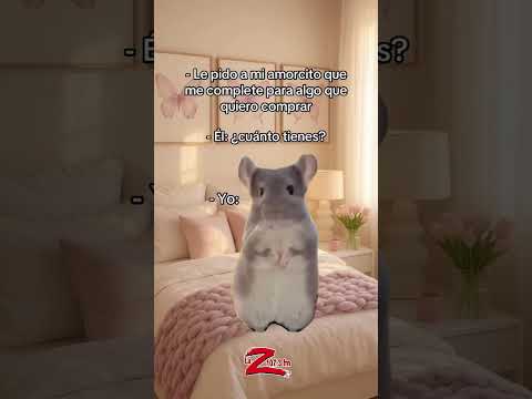 Sorry amor 🤷🏽‍♀️