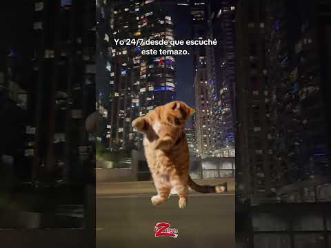 🎶 ¡No me la puedo quitar de la cabeza! 🎤