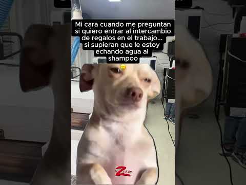 😂 Si me identifiqué 😝