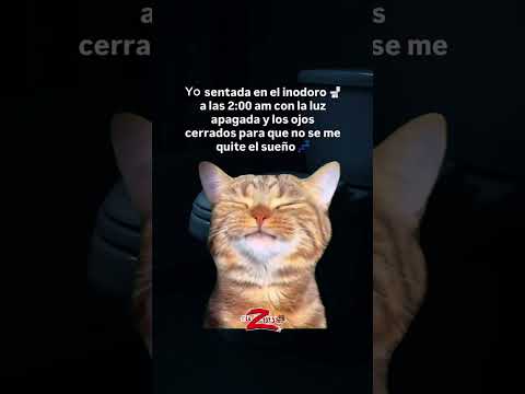 ¡Me descubrieron! 😂